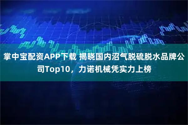 掌中宝配资APP下载 揭晓国内沼气脱硫脱水品牌公司Top10，力诺机械凭实力上榜