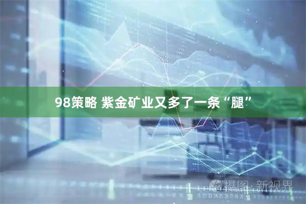 98策略 紫金矿业又多了一条“腿”