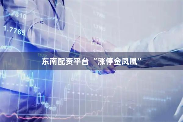 东南配资平台 “涨停金凤凰”