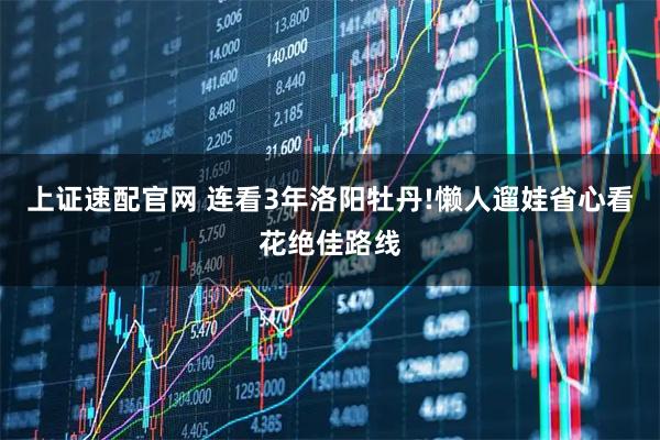 上证速配官网 连看3年洛阳牡丹!懒人遛娃省心看花绝佳路线