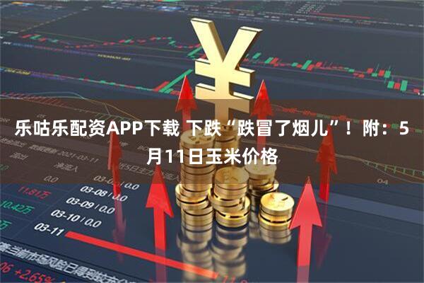 乐咕乐配资APP下载 下跌“跌冒了烟儿”！附：5月11日玉米价格