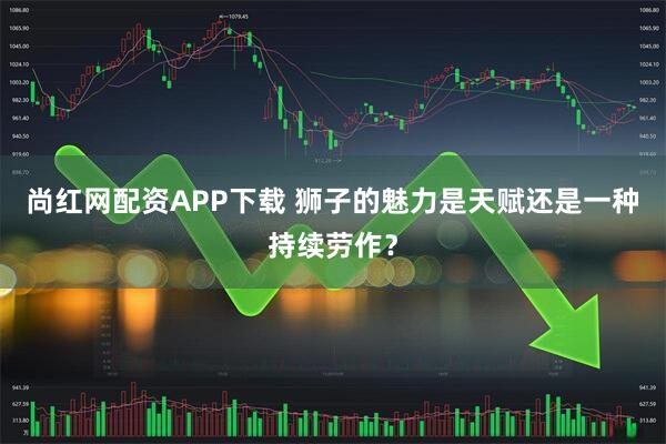 尚红网配资APP下载 狮子的魅力是天赋还是一种持续劳作？