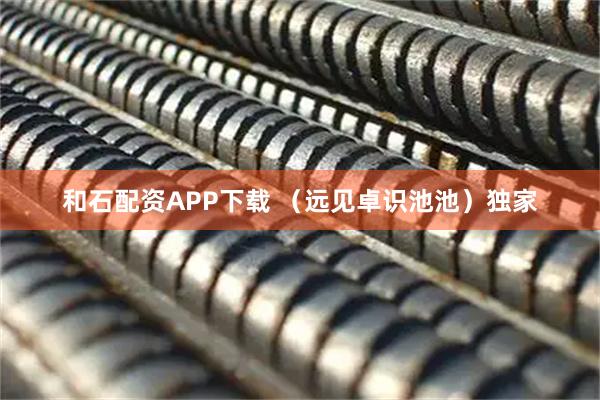 和石配资APP下载 （远见卓识池池）独家
